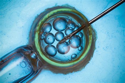 The Emergence of Assisted Reproductive Technologies