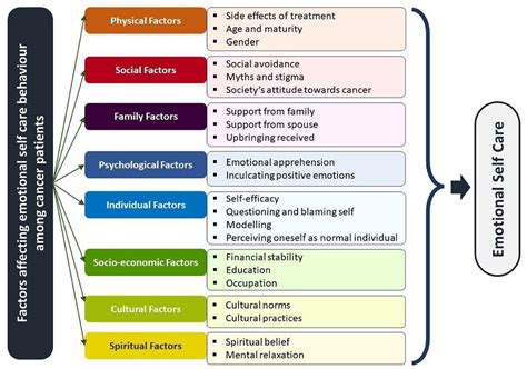 The Emotional Aspect of Dreams Related to Cancer: Exploring the Profound Sentiments