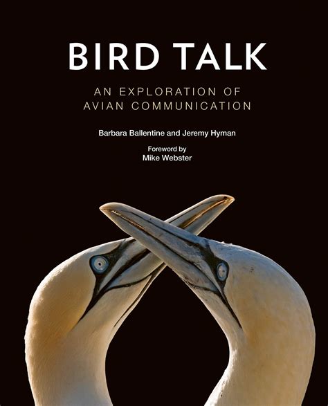 The Enchanting Realm of Avian Communication in Dreamscapes