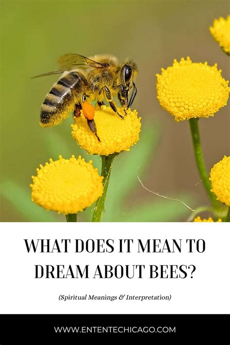 The Enchanting Realm of Bees: Revealing the Significance of Dream Imagery
