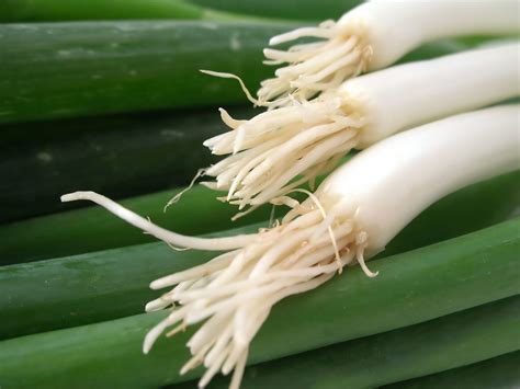 The Enchantment of Crisp and Zesty Scallions