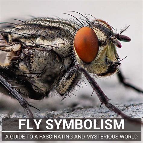 The Enduring Presence of Fly Imagery in Dreamscapes