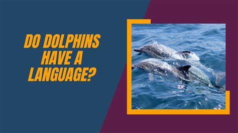The Enigmatic Communication Unraveled: Decoding the Language of Dolphins