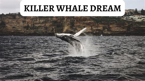 The Enigmatic Presence of Whales in Dreams