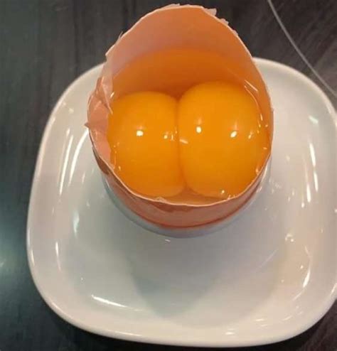 The Enigmatic Realm of Double-Yolk Eggs: Prevalence and Significance