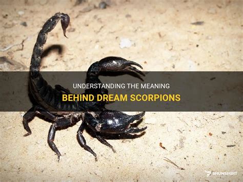 The Enigmatic Significance Behind Dreaming of Crabs and Scorpions