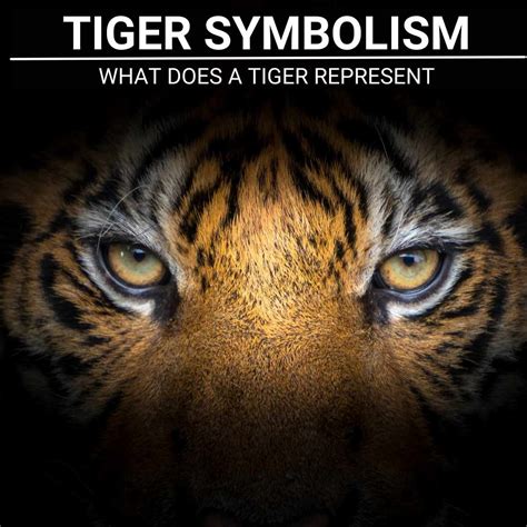 The Enigmatic Symbolism of Tigers in Dreams