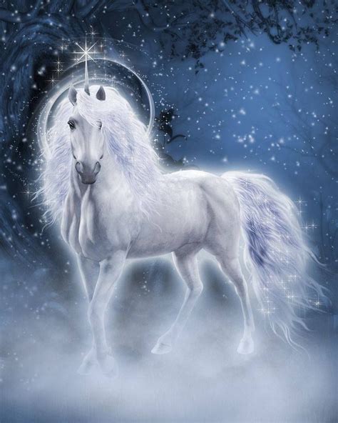 The Enigmatic and Enchanting Essence of Unicorns