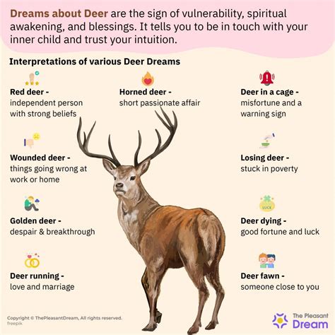 The Enigmatic and Symbolic Significance of Dreams Involving Bleeding Deer