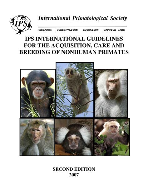 The Expenses Involved in Owning a Companion Primate: Ranging from Acquisition to Ongoing Care