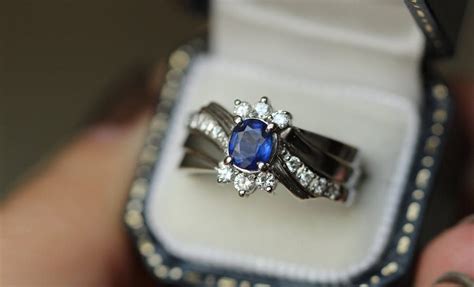 The Fascinating Allure of Sapphire Blooms: Unveiling the Enigma