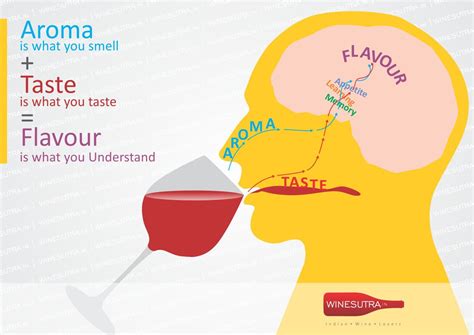 The Fascinating Relationship between Flavor and Enjoyment