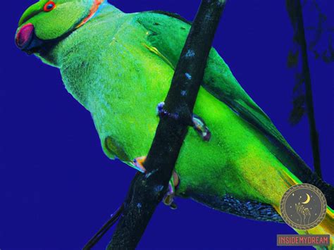 The Fascinating Significance Behind Dreams of Embracing a Parakeet