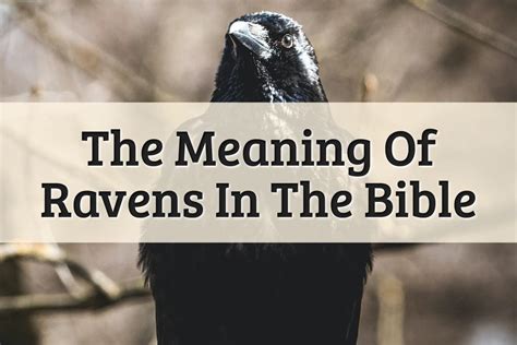 The Fascinating Significance of Devouring a Raven in Fantasies