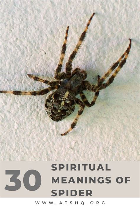 The Fascinating Symbolism Unveiled: Exploring the Hidden Significance of Spider Imagery