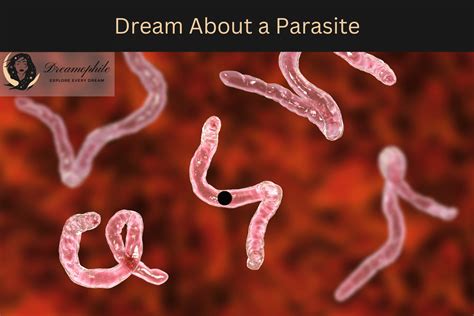 The Fascinating Symbolism of Dreaming about Eliminating Parasites