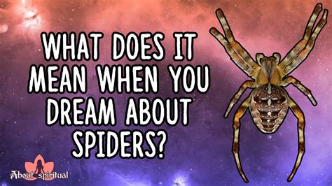 The Fascinating Symbolism of Spider Dreams: Decoding the Message