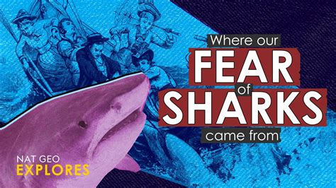 The Fear of Sharks: Revealing Deep-seated Anxiety