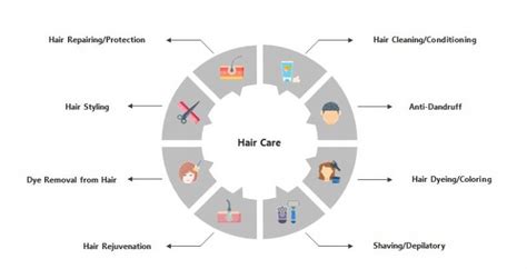 The Future of Wet Hair: Innovation and Trends in Haircare Industry