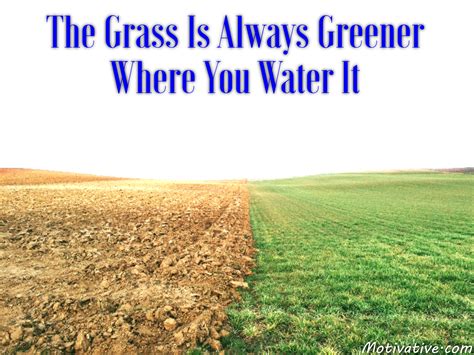 The Grass is Always Greener: Examining Unrealistic Expectations of Residing in a Different State