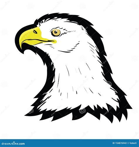 The Hawk as a Symbol of Freedom and Independence