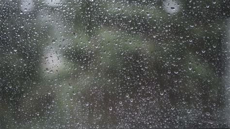 The Healing Power of Rain: How Rainfall Soothes the Mind and Nurtures the Body