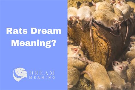 The Hidden Meanings: Exploring the Shadow Self in Rat Dreams