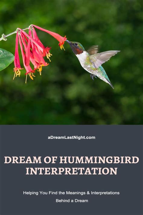 The Hidden Meanings Within a Dream of a Hummingbird Assault