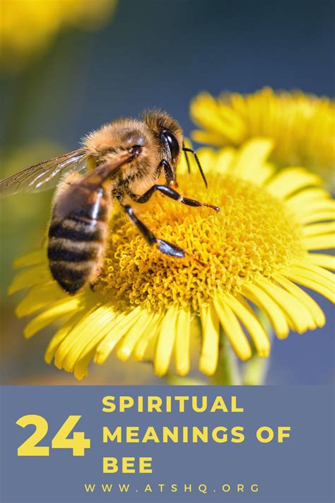 The Hidden Symbolism of Bees in Spiritual Dreamscapes