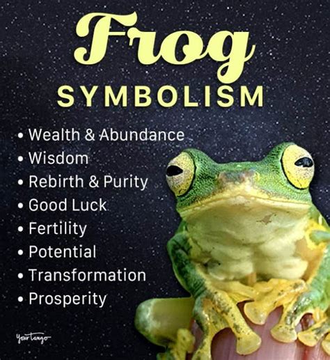 The Hidden Symbolisms of Having Frogs on Your Physical Form