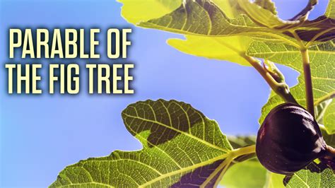 The Historical Significance of the Fig Tree's Economic Contribution