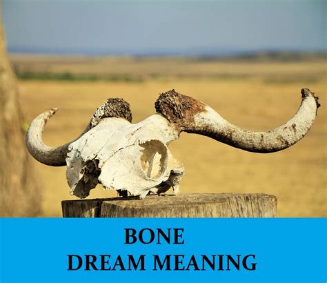 The Impact of Consuming Bones in Dreams: A Profound Influence on Personal Growth and Self-Reflection