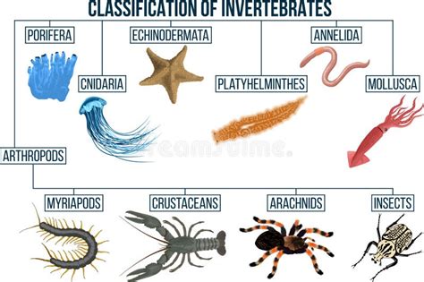 The Impact of Cultural Beliefs on the Interpretation of Dreams Involving Crustaceans and Arachnids