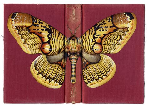 The Impact of Enormous Lepidopterans in Art and Literature