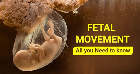 The Impact of Fetal Movements on the Bonding Experience