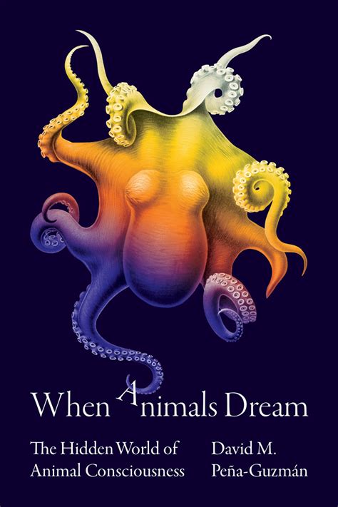The Impact of the Dreamer's Personal Connection with Creatures on Dream Experiences