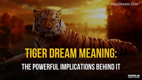 The Implications and Significance Behind the Dreams of a Tigress
