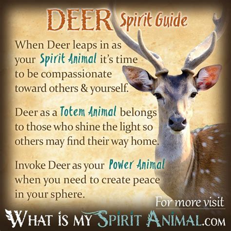 The Importance of Deer as Spirit Animals
