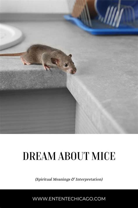 The Importance of Dreaming about White Mice post their Passing