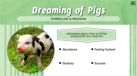 The Importance of Dreams Involving Pig Nourishment