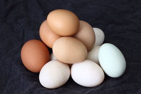 The Importance of Eggs in Various Cultures
