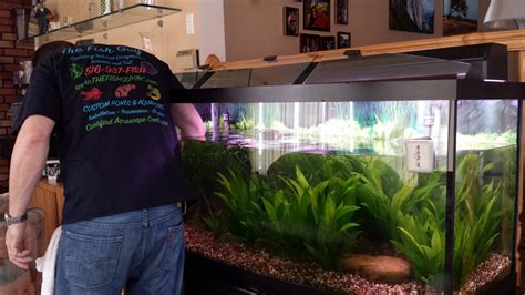 The Importance of Feeding in Aquarium Maintenance: Its Indispensable Role