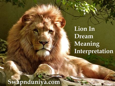 The Importance of Lions in Interpreting Dreams