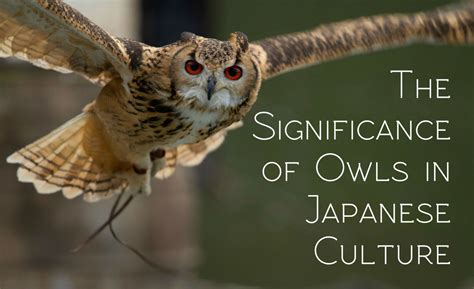 The Importance of Owls in Various Cultures