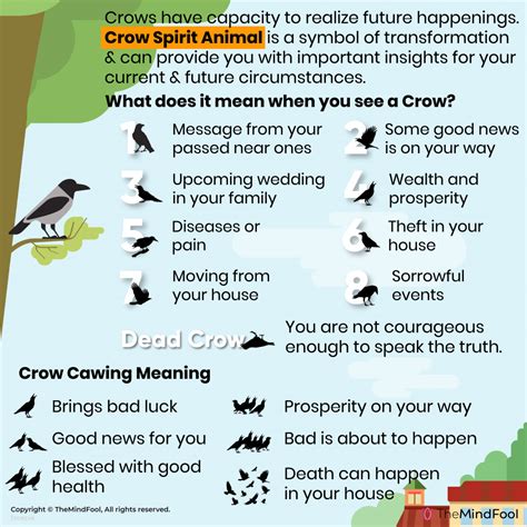 The Influence and Significance of Crow Communication