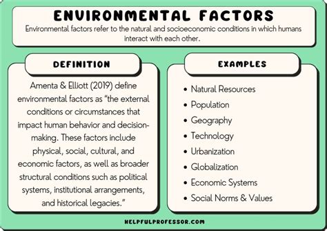 The Influence of Cultural and Environmental Factors on the Analysis of Dreams