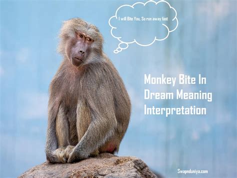 The Influence of Fear and Anxiety on Dreams featuring Monkey Bites