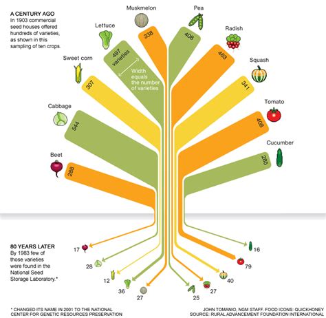 The Influence of Genetics on Cultivating Enormous Vegetables