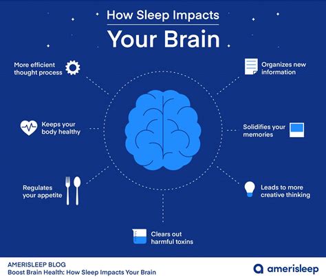 The Influence of Sleep Aids on Brain Functioning