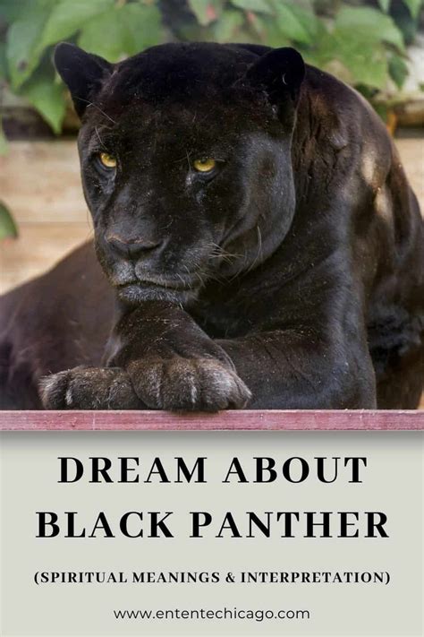 The Intricate Symbolism of Dreams Involving Panther Attacks